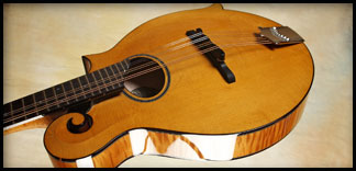Collings Mandolin