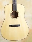 Collings-d1a-02