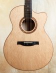 Prs-angelus-02
