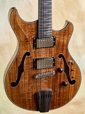 Steve Andersen Vanguard Archtop