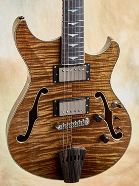 Steve Andersen Vanguard Archtop