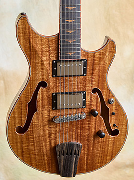 Steve Andersen Vanguard Archtop