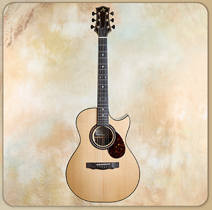 Brian Applegate SJ Acoustic, Zirocote