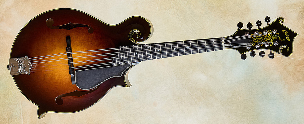 Collings MF5 Deluxe V