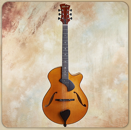 D’Ambrosio Allegro Archtop, 2012