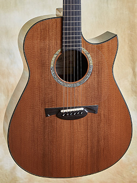 Julian Gaffney Modified Dreadnaught