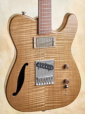 Steve Andersen Vanguard Archtop