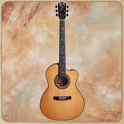 Manzer Metheny Signature 6 LTD Preowned