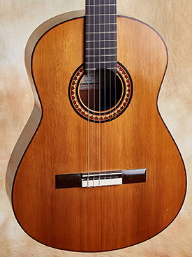 guitar bolsa shop near me
