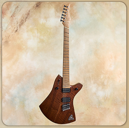 Rick Toone Custom FanFret, 2014