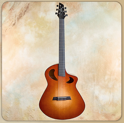 Veillette Nylon Baritone Acoustic