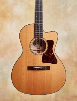 Collings-c10-02