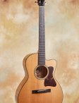 Collings-c10-05