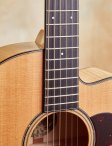 Collings-c10-09