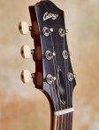 Collings-i35-15