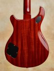 Prs-mccarty594-04