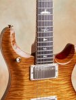 Prs-mccarty594-09