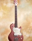 Collings-360-05