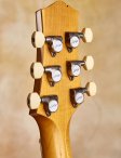 Collings-360-17