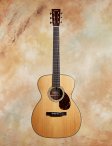 Collings-om2ha-01