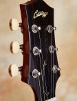 Collings-i35-17
