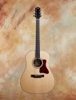 Collings-cjmrg-01