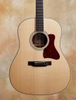 Collings-cjmrg-02