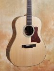Collings-cjmrg-06