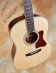 Collings-cjmrg-14