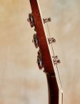 Collings-cjmrg-20