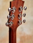 Collings-cjmrg-21