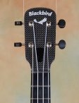 blackbirdukelele-2