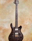 Prs-mccarty-05