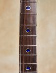 Prs-mccarty-16