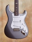 Prs-silversky-02