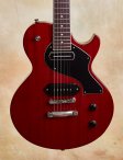 Collings-290-02