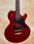 Collings-290-06
