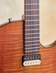 Marchione-semihollow-09