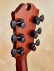 Marchione-semihollow-19