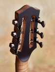 Rancourt-acousticarchtop-20