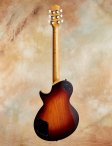 Collings-360lt-03