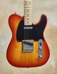 Fendercs-tele-02