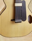 Forster-semiacoustic-08