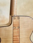 Forster-semiacoustic-10