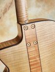 Forster-semiacoustic-12