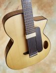 Forster-semiacoustic-13