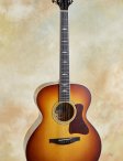 Collings-sjgsb-05