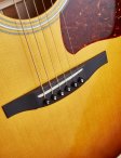 Collings-sjgsb-15