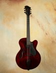 moffa-archtop-1