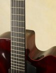 moffa-archtop-4